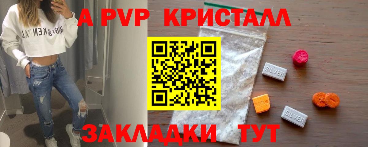 Альфа ПВП СК Сунжа