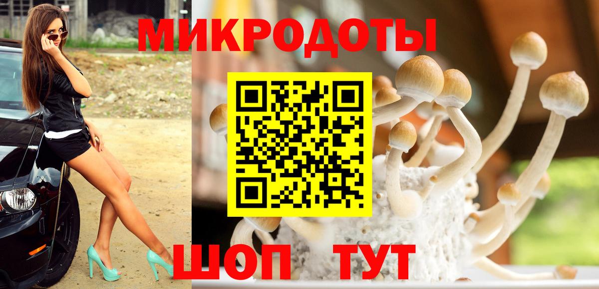 Псилоцибиновые грибы MAGIC MUSHROOMS  наркошоп  Сунжа  Вход с VPN 